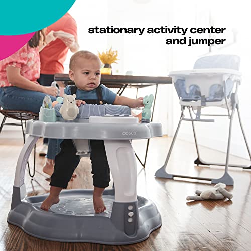 Cosco Play-in-Place Activity Center, Stationary Activity Center and Jumper, Organic Waves