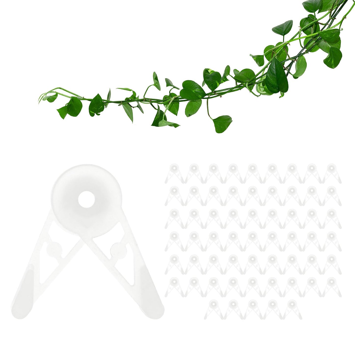 M METERXITY 60-Pack Adjustable Plant Clips, 360 Degree Plant Training Clips, Plant Stem Bender Training Clips for Low Stress Training/Plant Ties/Gardening Accessories [Clear]