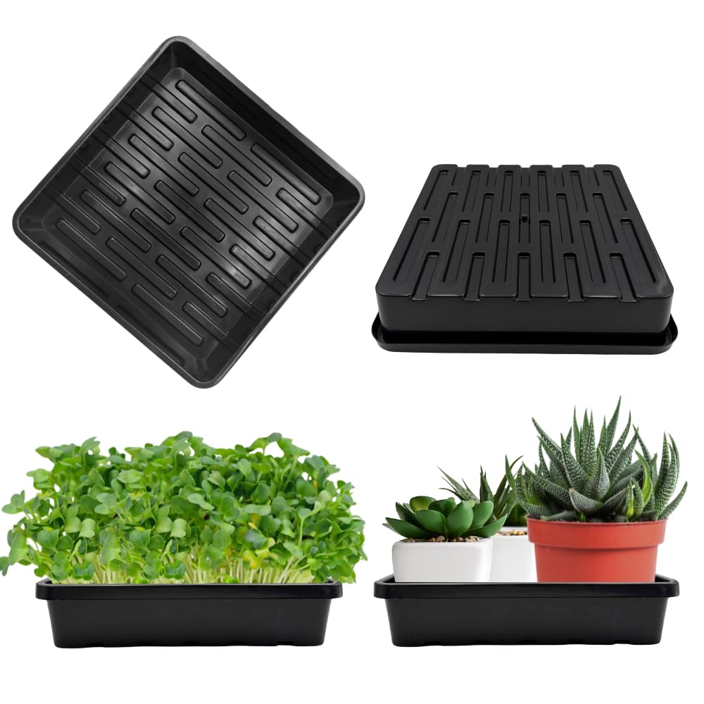 ILITING 1010 Growing Trays, 5-Pack Heavy Duty Seed Trays 10" x 10" Without Drain Holes for Seedlings, Microgreens, Wheatgrass, Fodder & Hydroponics, Black