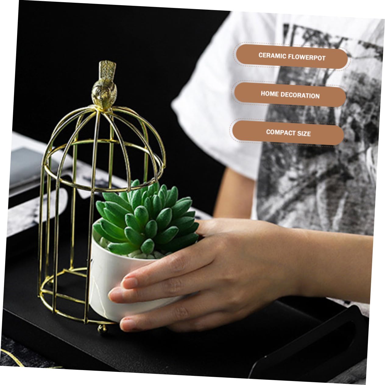 CAXUSD Decorative Iron Rack Flowerpot with Ceramic Planter Gold Plated Birdcage Style Stand Indoor Outdoor Gardening Container for Balcony and Home Plant Display
