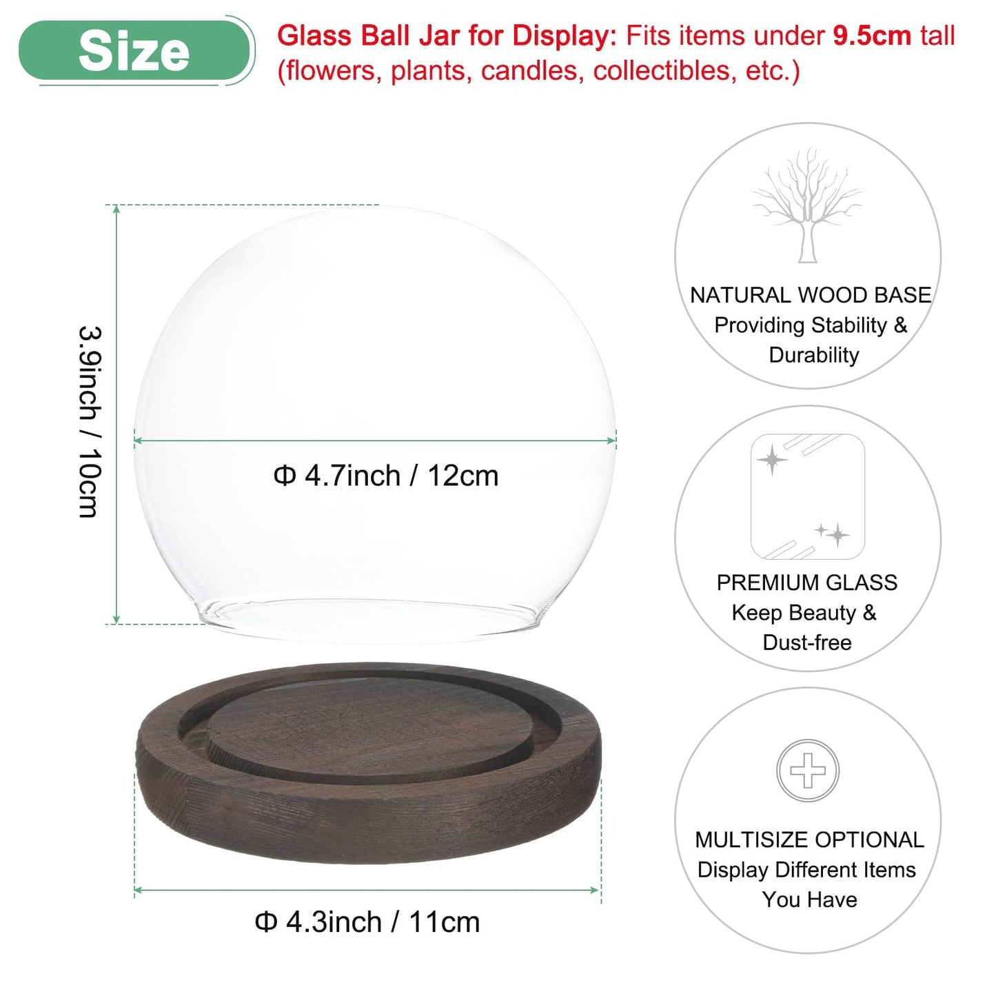 M METERXITY Cloche Glass Dome, D4.7In Ball Jar with Wooden Base for DIY Snow Globes/Small Plants/Flowers/Candles/Models/Souvenirs, Glass Display Case [White]