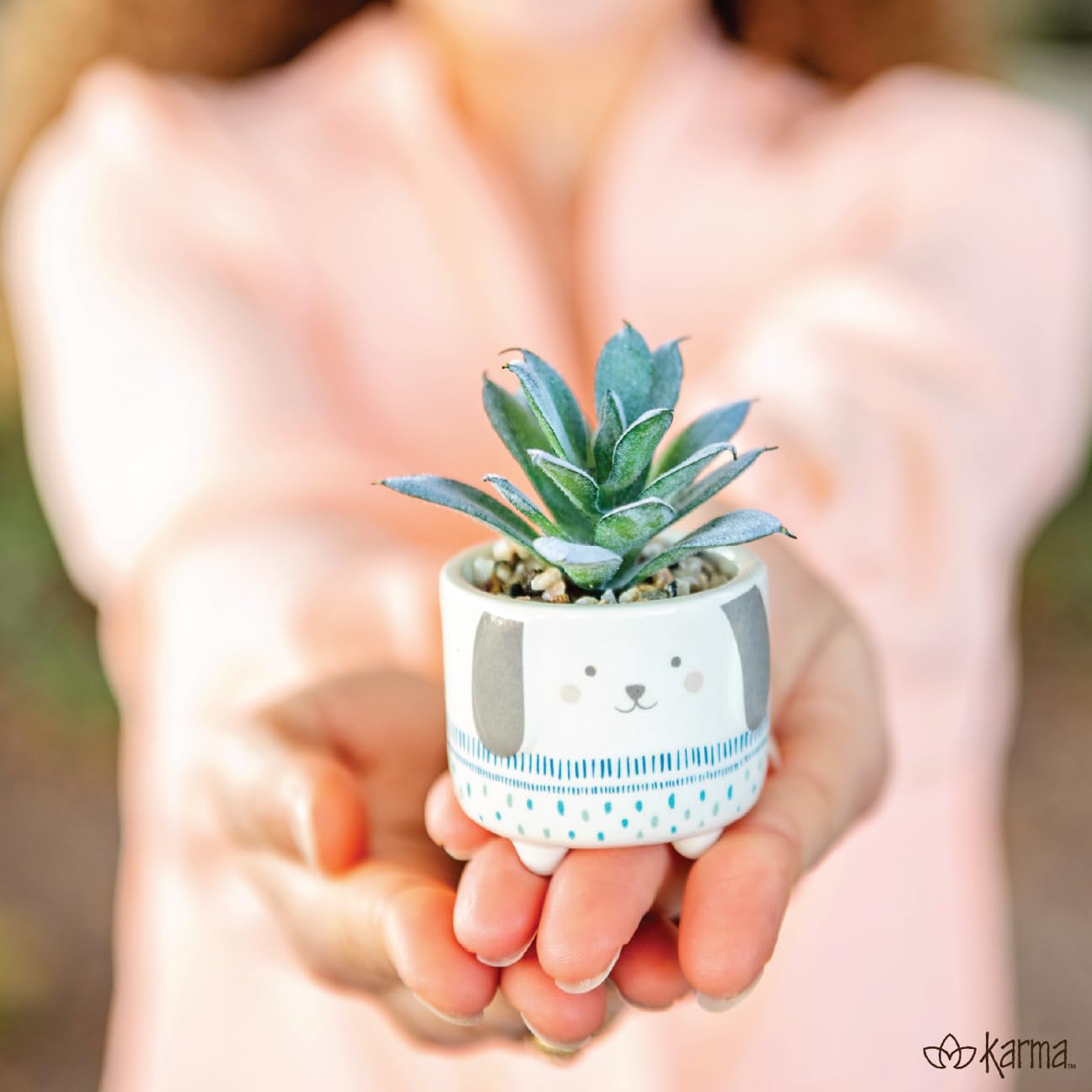 Karma, Shaped Artificial Succulents in Ceramic Pot, Faux Mini Succulent Plant, Desk Decor, Office Plants - Turtle