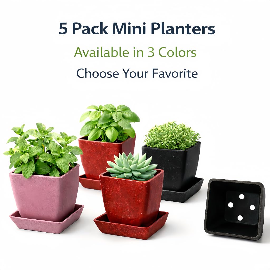 3.5 Inch Small Planter Pots with Drainage Holes and Saucers, Matte Square Indoor Plant Pots for Succulents and Herbs, Lightweight Modern Planters for Kitchen Herb Garden, Windowsill or Desk 5 Pack