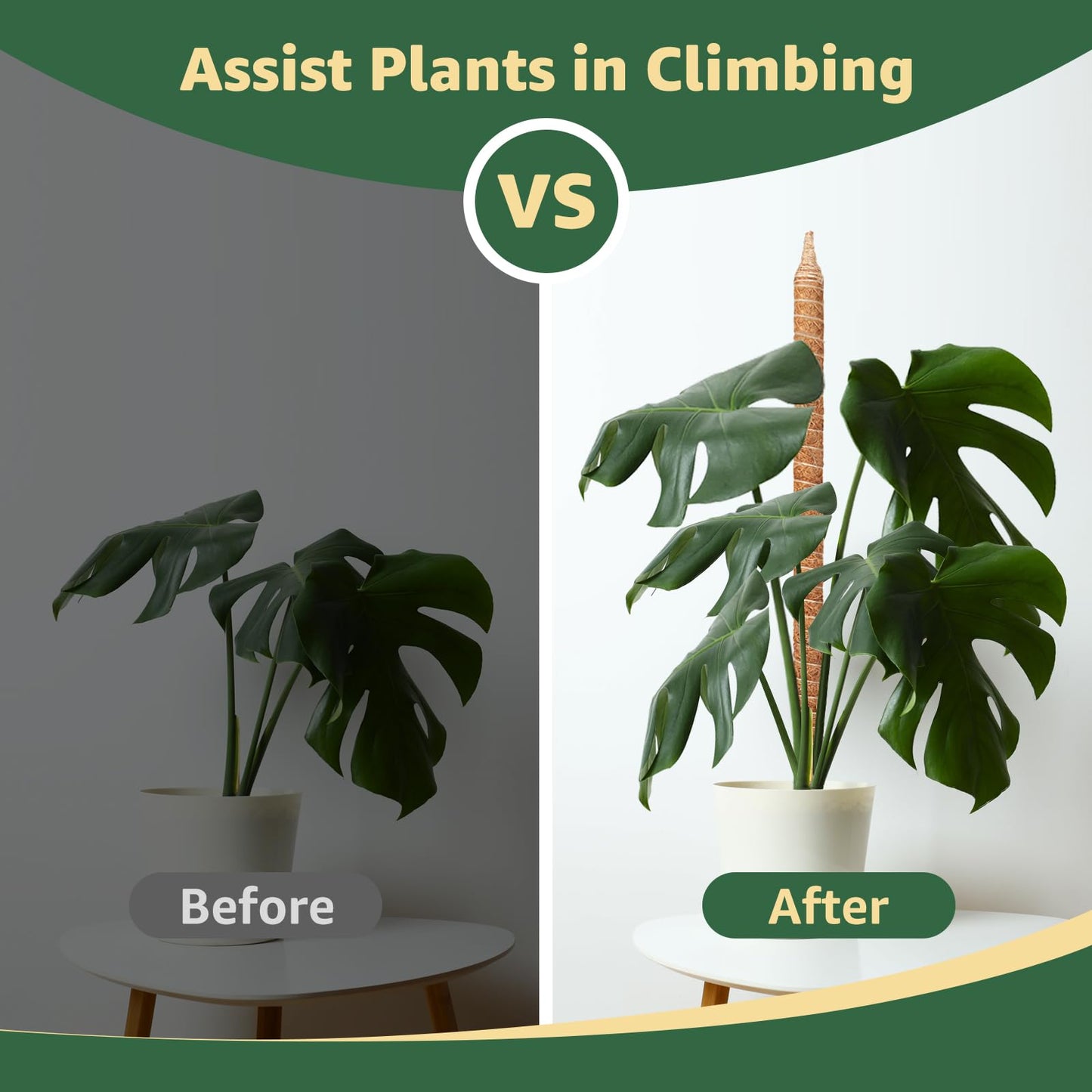 Vanut 2-Pack 60in Large Moss Pole for Monstera, Bendable & Sturdy Pothos Plant Climber Support, Philodendron, Fishbone Cactus & Indoor Tropical Houseplants, Made for Coco Coir