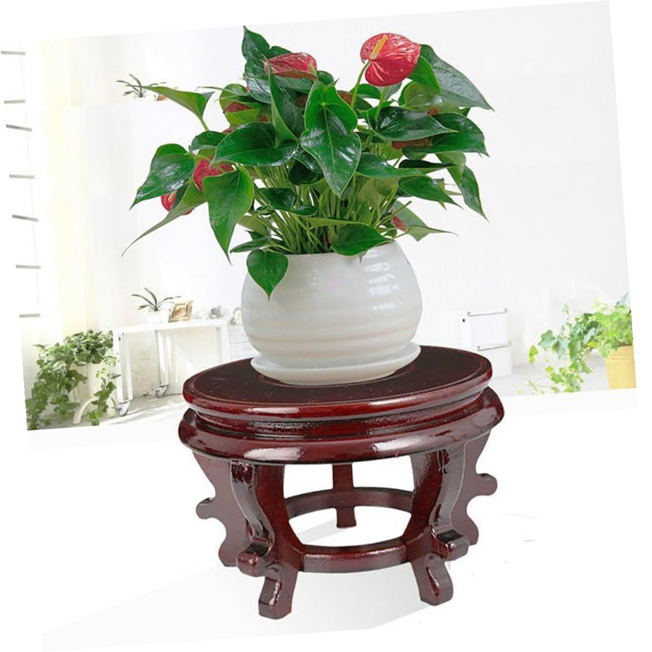 MAGICLULU Wooden Plant Stand Potted Plants Rack High-density Wood Base 16cm Diameter 10cm Height 80lb Load Capacity Indoor Display Pedestal for Home Décor