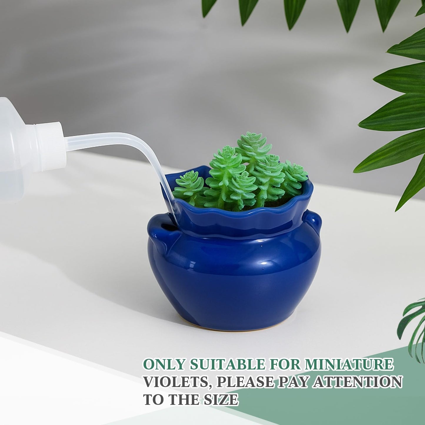 Sunnychicc 4 Sets African Violet Pots 4 Inch Self Watering Pot for Indoor Ceramic Self Watering Planter for Flower Lovers Ideal Plant Pot Thriving Flower Maintenance
