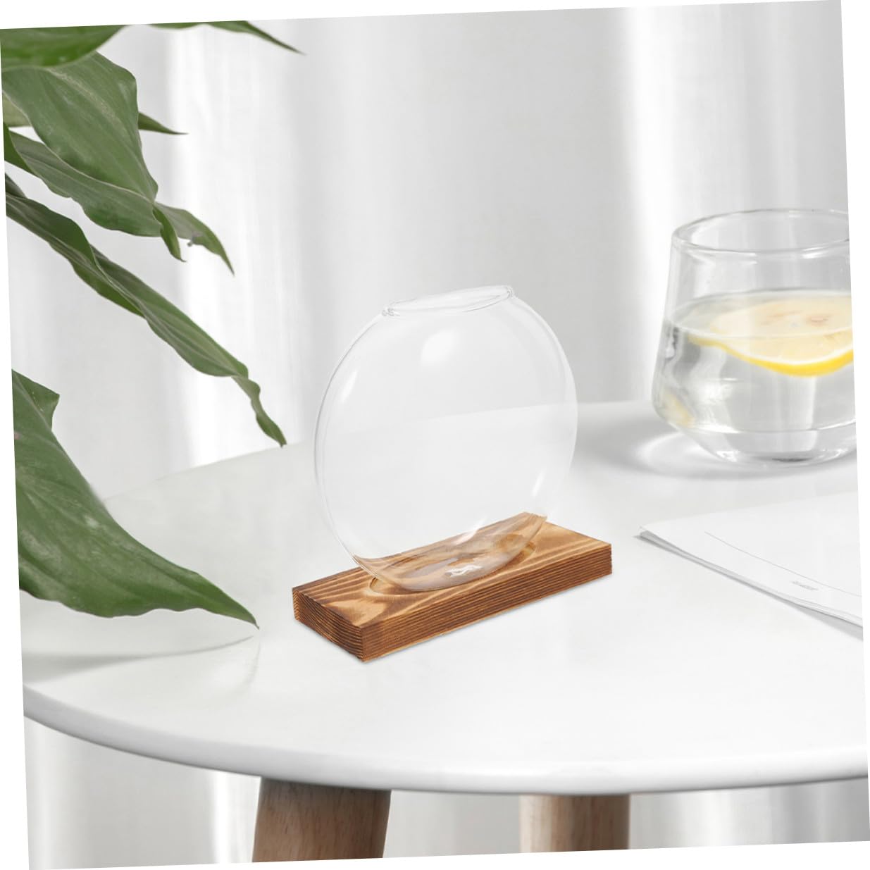 DEARMAMY 2pcs Glass Propagation Vase with Wooden Base, Indoor Hydroponic Plant Planter, Desktop Terrarium for Greenery, Home Office Shelf Decoration