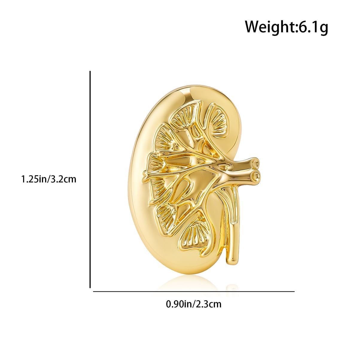 Dr's gift Kidney Anatomy Enamel Brooch Pin Nephrology Cross Section Lapel Badge Jewelry for Nephrology Doctors Nurses Biologists Student Gift White Coat Accessory