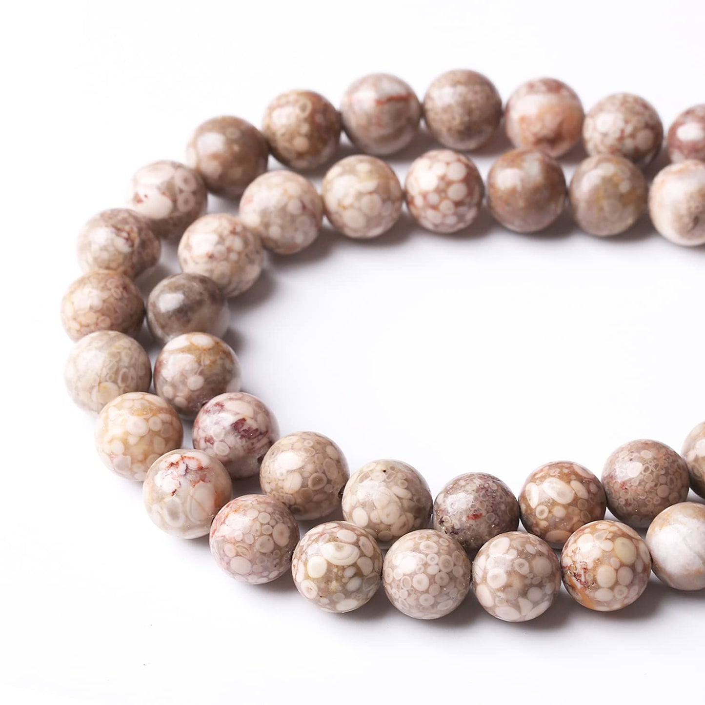 48PCS 8MM Natural Flowery Cowry Fossil Stone Beads Energy Healing Beads for DIY Jewelry Bracelet Necklace Making for Jewelry Making15Inch