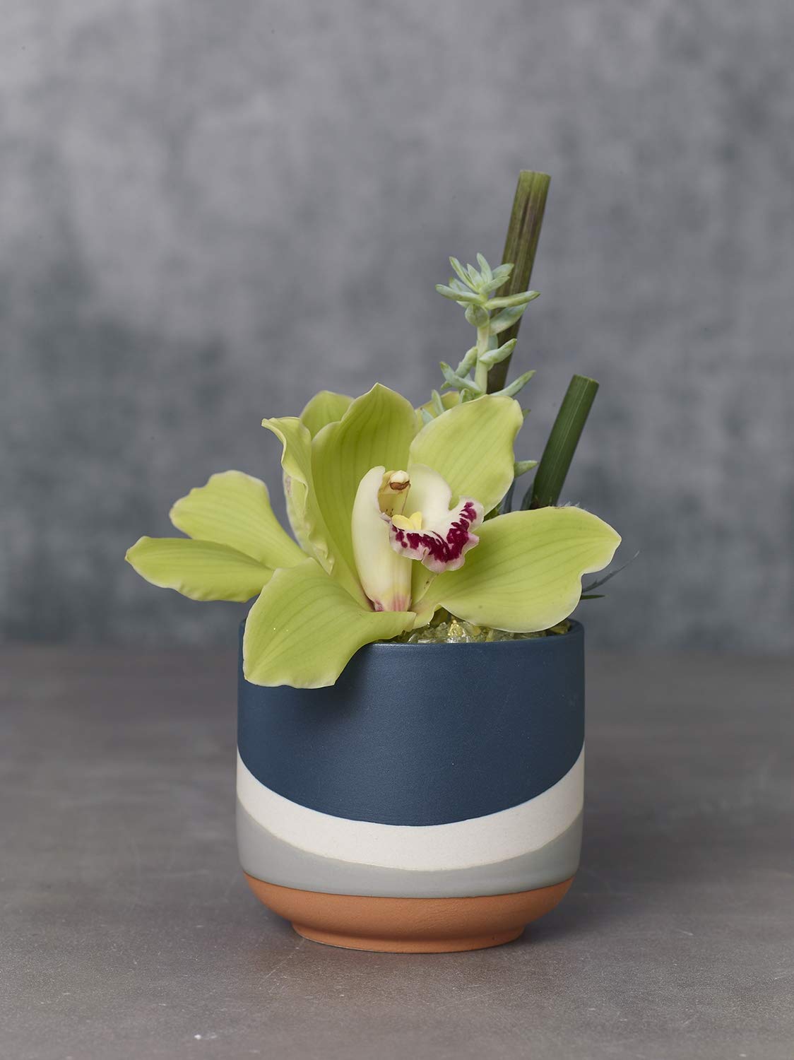 AC Decor Ceramic Color Block Planter (3.5", Blue)