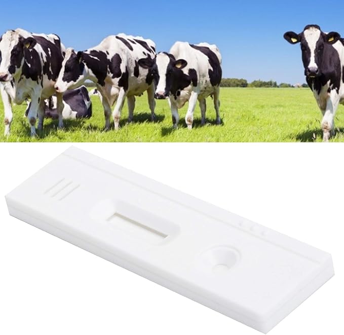 Cow Pregnancy Test Strip, Accurate Livestock Veterinary Equipment with High Accuracy Rate and Convenient to Use
