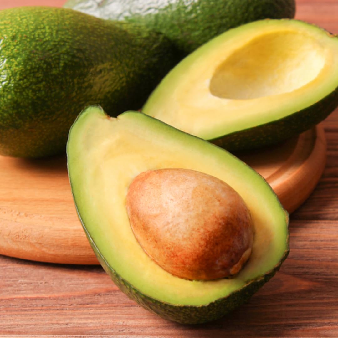 3 Gallon Big Avocado Tree Live Plant, 1-2 Ft Well Rooted, Ready to Bear Fruit, 2 Years Old Live Avocado Tree Plant Grafted (HASS)