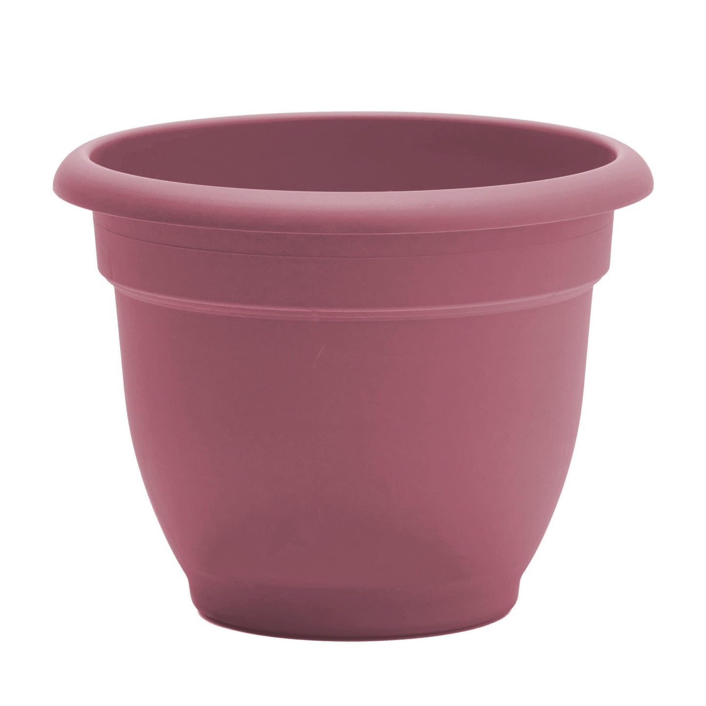 Bloem Ariana 12" Self-Watering Plastic Planter - Rolled Rim Indoor/Outdoor Garden Pot, Dusty Rose, 2-Pack