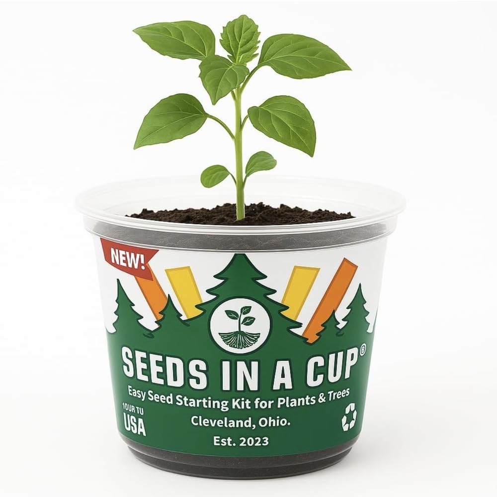 Date Palm | Seeds In A Cup: Date Palm Tree Starter Kit | Easy to use | Educational | Thoughtful Gift | Great Gift Idea | Plant It for The Planet | Grow Your Own Tree |
