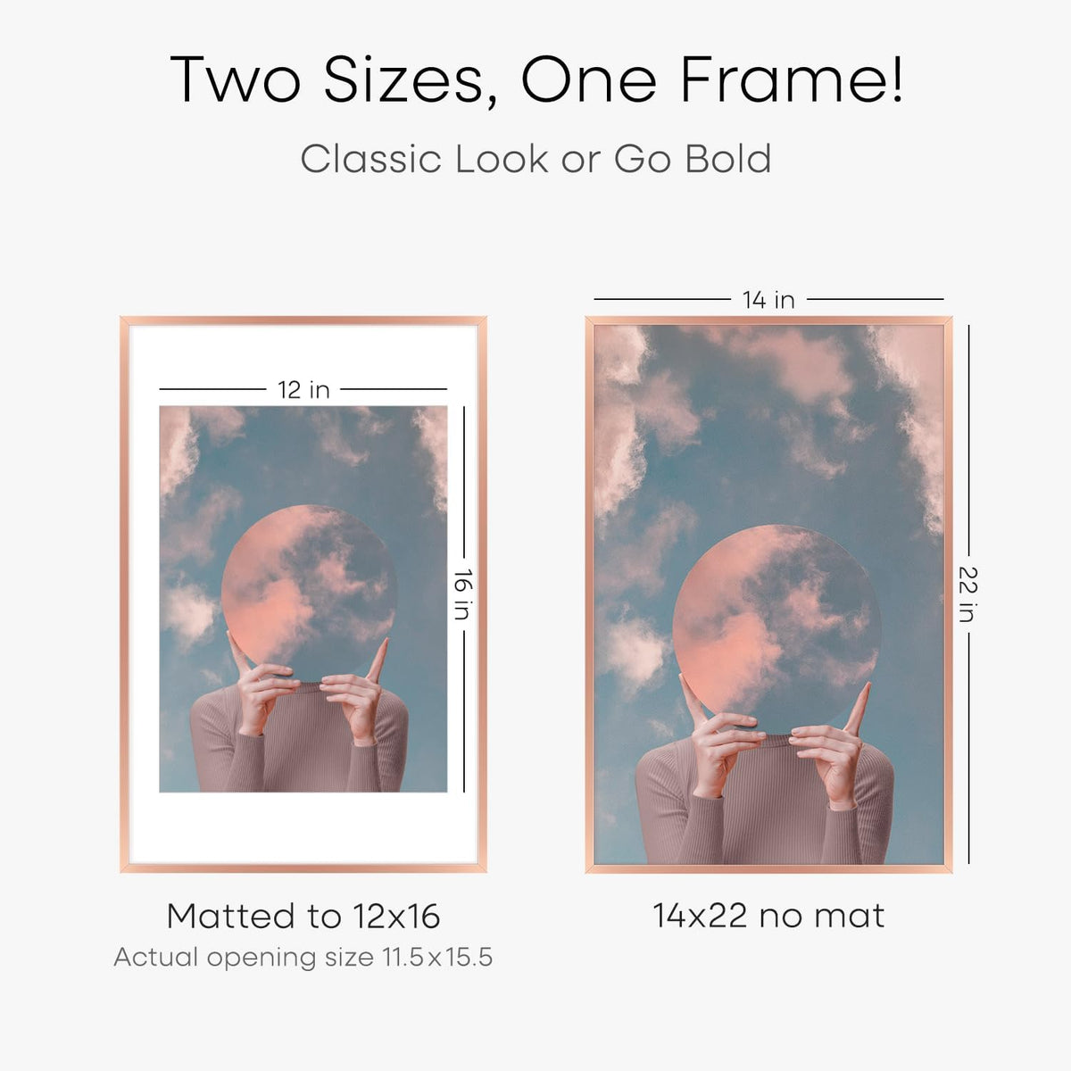Homeforia 14x22 Picture Frame Rose Gold, High End Metal 14x22 Poster Frames with Mat 12x16 inch Photo, 14 x 22 Rose Gold Frame Matted to 12 by 16 Print, 22x14 Frame, Tempered Glass, Wall Kit, Set of 1