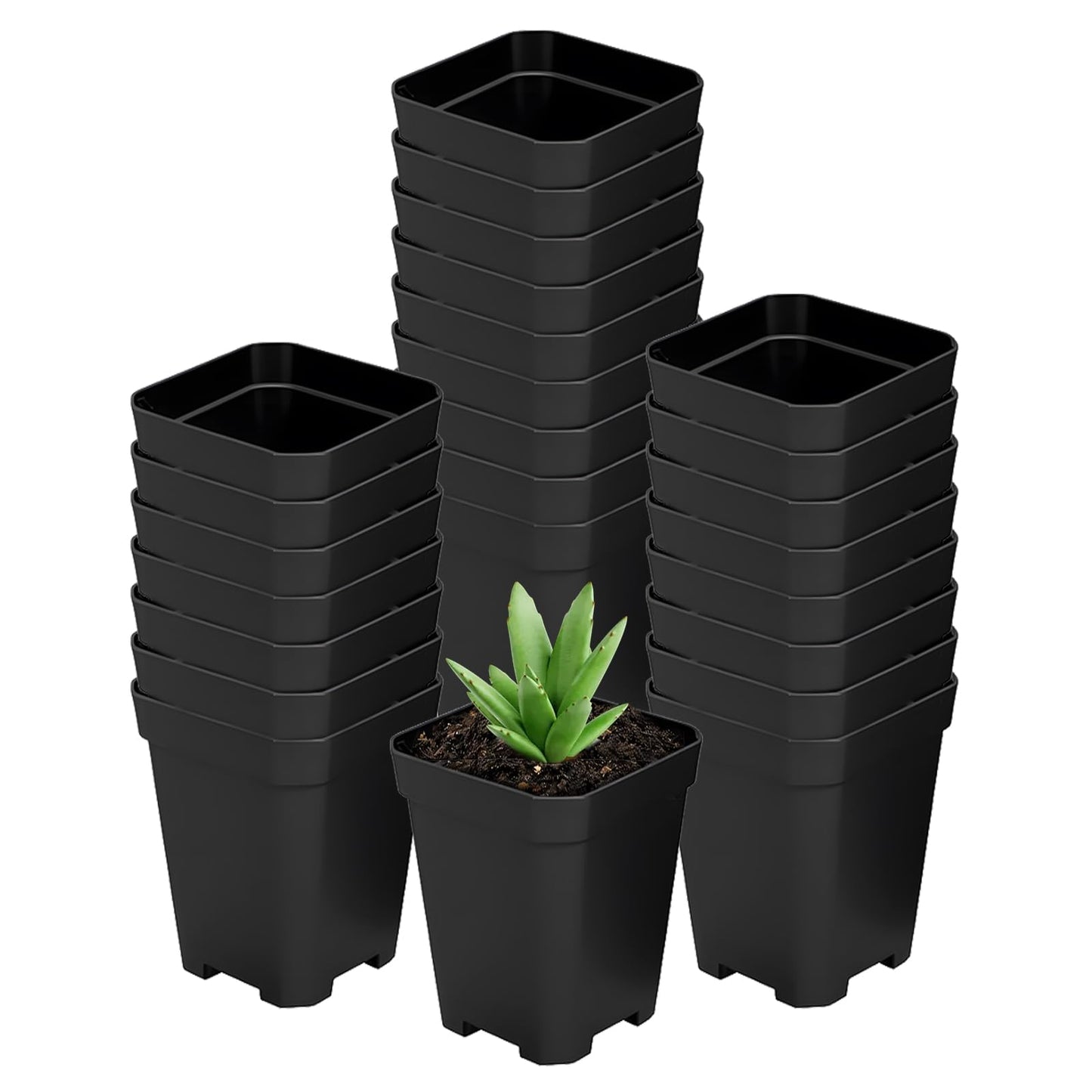 XCRUI Square Nursery Pots 60Pcs 3" Deep Succulent Plastic Pots Small Flower Planter Seeds Starter Germination Pots for Plants, Succulent, Flower