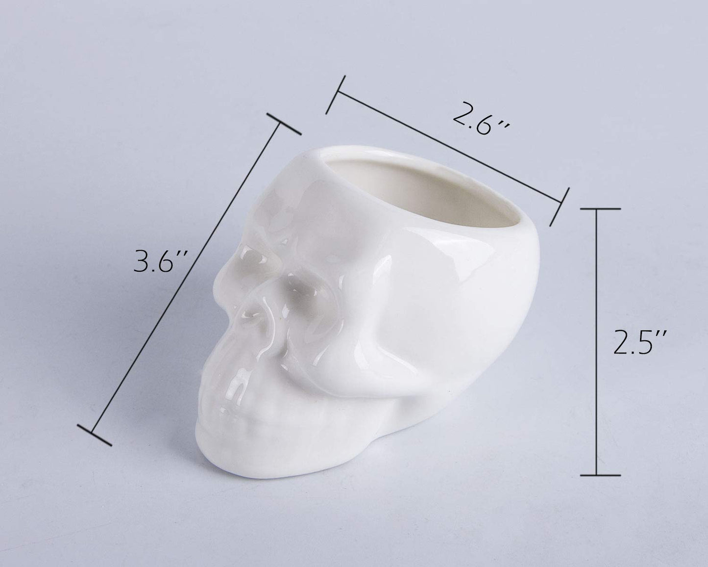 VanEnjoy Set of 3 Ceramic Skull Succulent Pots and Planters Creative Cactus Plant Pot Pen Pencil Holder, Home Office Bedroom Desk Decoration
