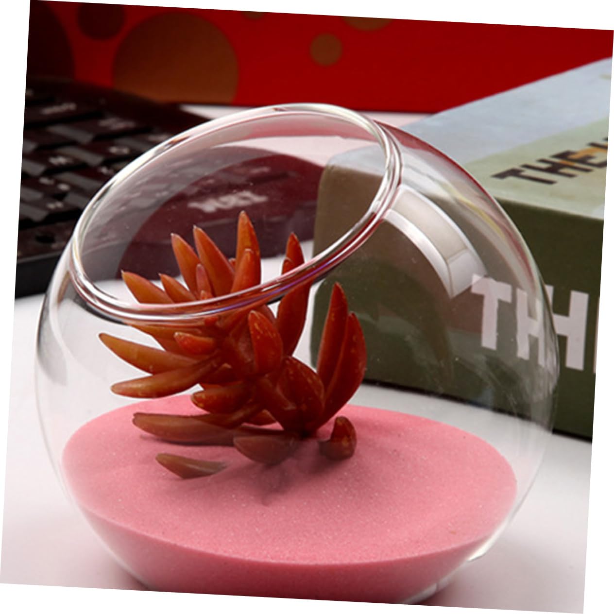 GANAZONO 2Pcs Micro Landscape Glass Bottle Terrarium Decor DIY Container for Plants Glass for Bedroom Living Office and Handmade