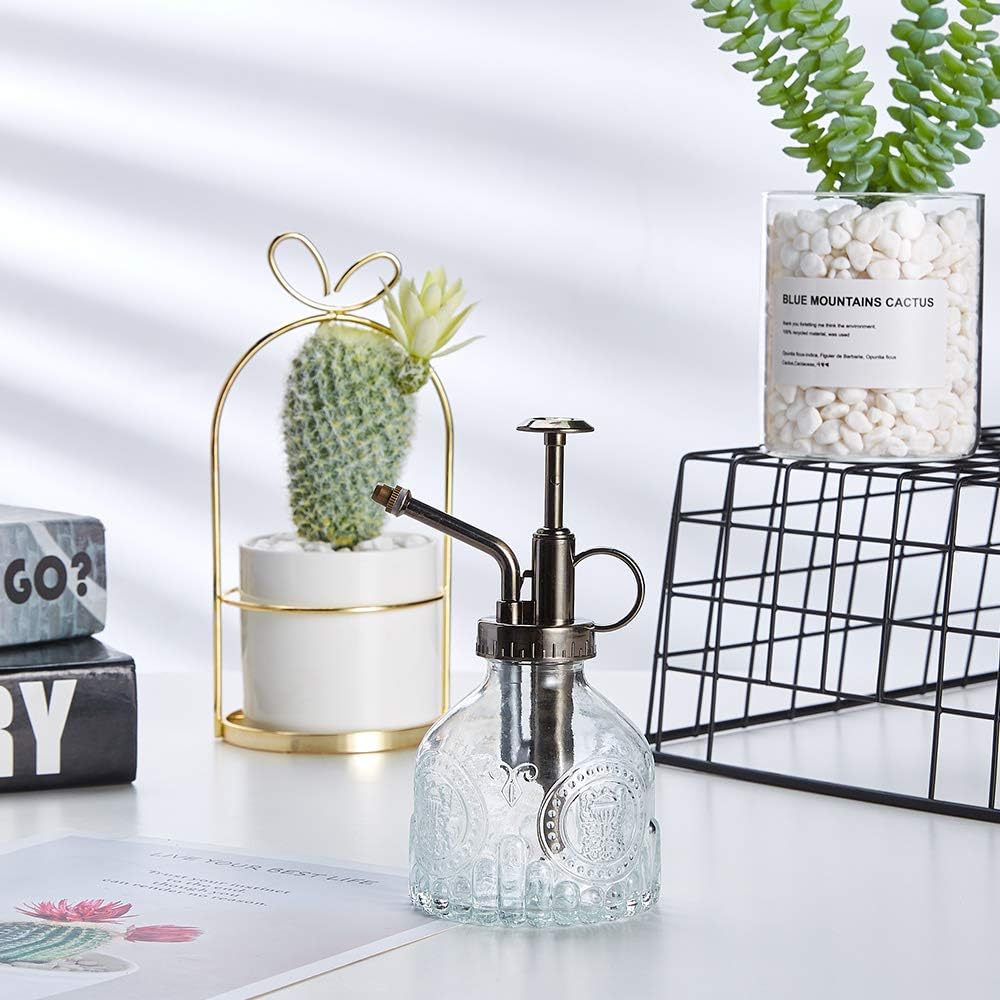 Glass Spray Bottle, 6.5" Tall Vintage Spritzer, Succulent Watering Bottle with Top Pump, Indoor Outdoor Plant Sprayer - Clear