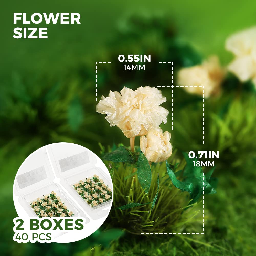 Yetaha 40 Pcs Flower Cluster, Vegetation Groups Grass Tuft, Handmade Premium Static Model Miniature Shrubs, Flower Grass Scenery for DIY Garden Courtyard Railway Landscape Layout (Gardenia, White)