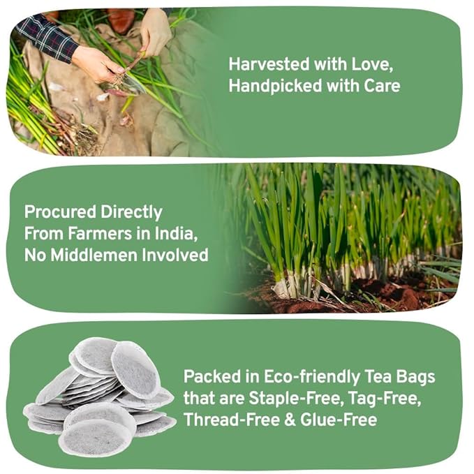 HANDPICK, Lemongrass Tea Bags (100 Count) Non-GMO, Caffeine Free - Quality Lemongrass Herbal Tea- Eco-conscious Round Tea Bags | Brew Hot or Iced Tea