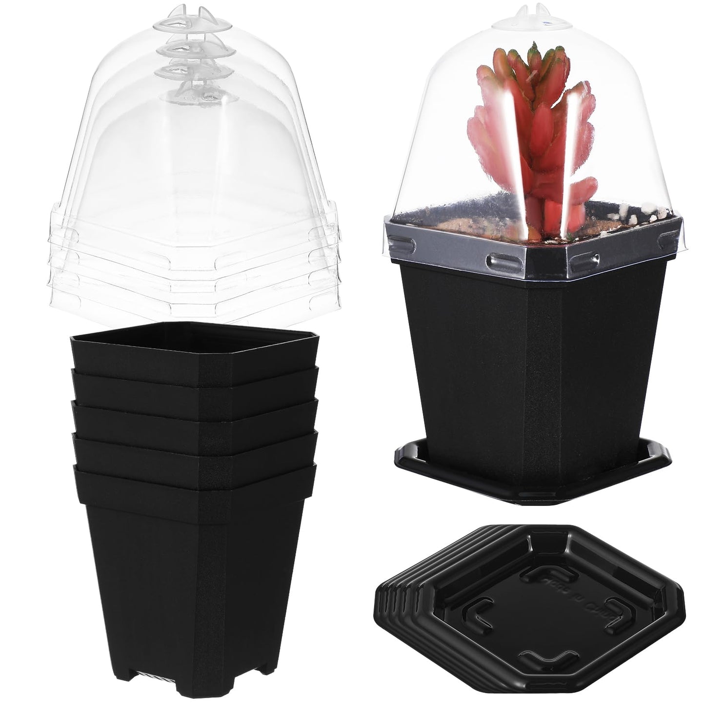 LIOOBO Black Plant Nursery Pots: 5Pcs Seeding Starter Pots, 3 Square Nursery Pot with Humidity Dome, Plastic Plant Container for Garden Vegetable Flower Germination