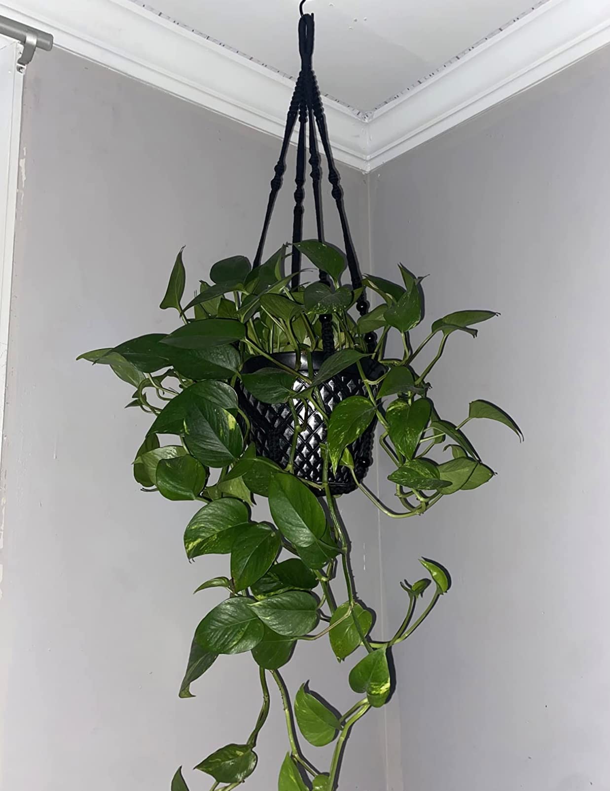 Shineloha 2 Pack 43 Inches Macrame Planter Hanger Large for 12 inch Pot (Extra Long & Big) + Swag Hook | Large Hanging Planter for Indoor Plants | No Pot/Plant Included (XL)