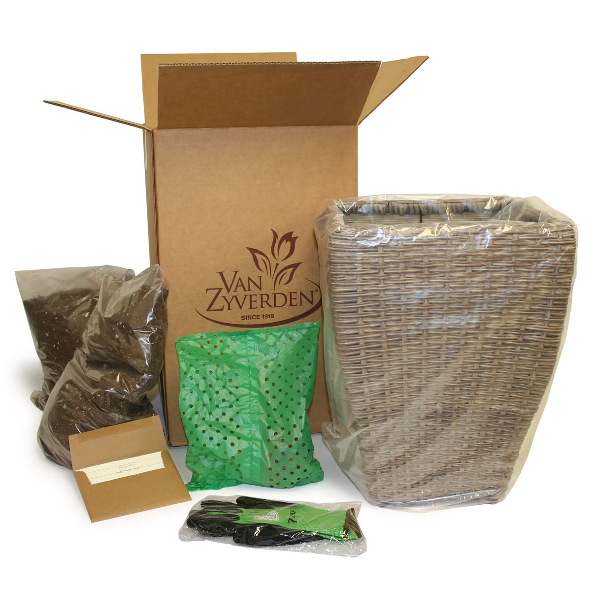 Van Zyverden Elephant Ear Hawaiian Punch Patio Kit with Decorative Rattan Planter, Planting Medium and 1 Root, Green