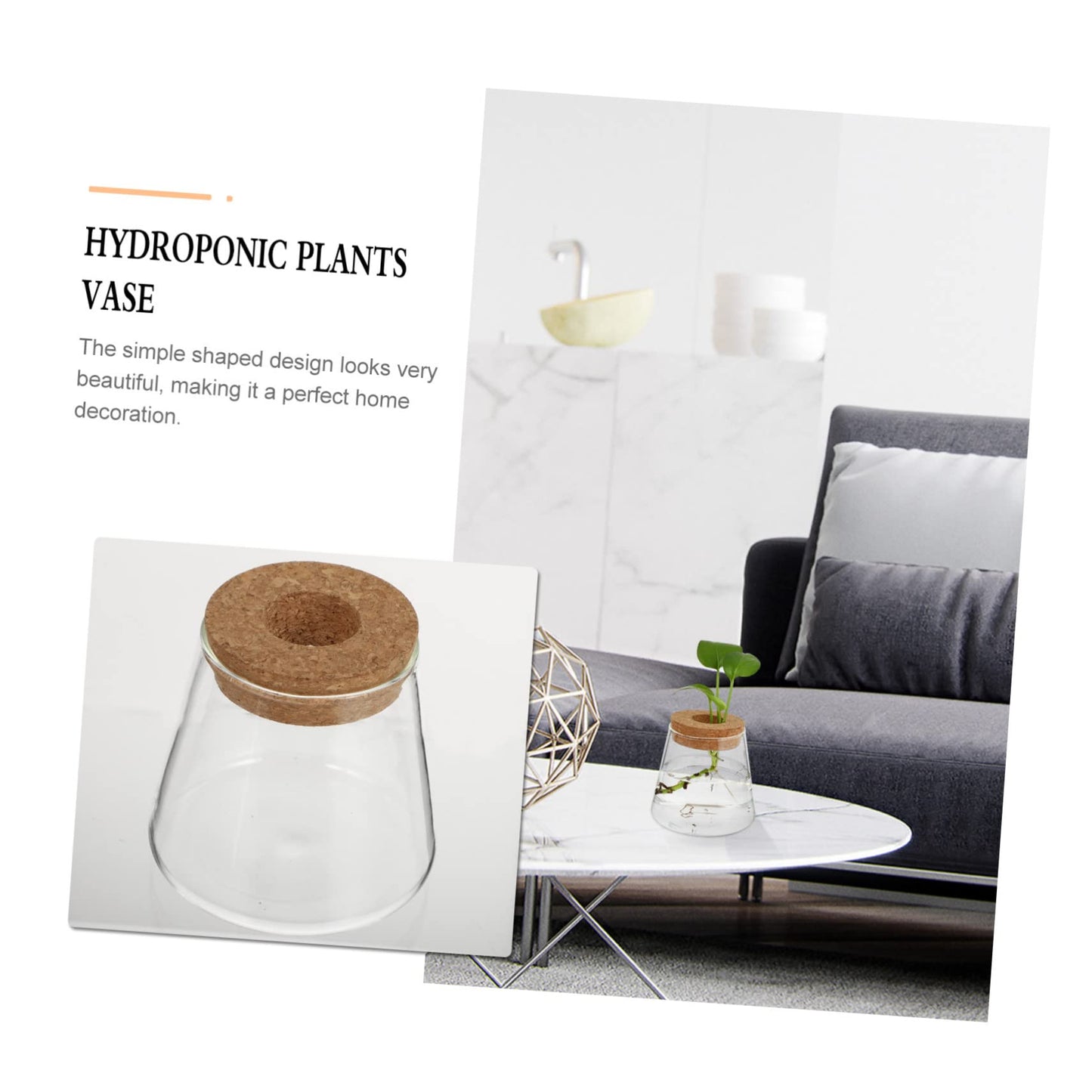 PRETYZOOM 2Pcs Glass Hydroponic Plant Vases for Desktop Home Decoration Clear Smooth Glass Terrarium for Floral Arrangement Office Plant Propagation Jar Unique Design