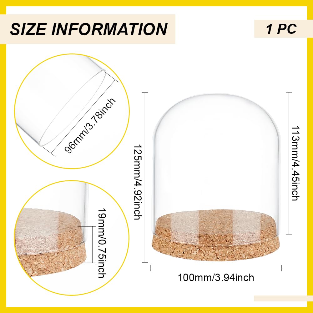 BENECREAT 5x4 Inch Glass Dome Cloche with Cork Base, Glass Dome Decorative Jars, Bell Glass Jars for Flower Valentine's Day Decoration, Inner Diameter: 3.8 Inch