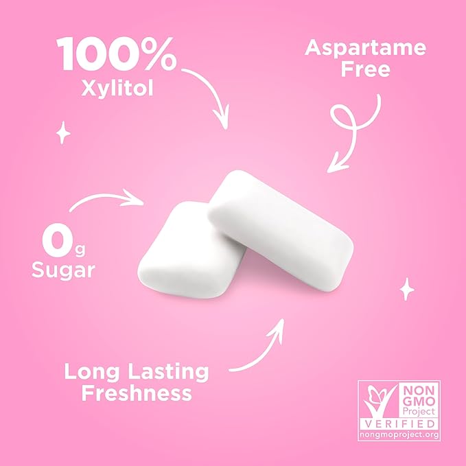 PUR Gum | Aspartame Free Chewing Gum | 100% Xylitol | Natural Bubblegum Flavored Gum, 55 Pieces (Pack of 2)