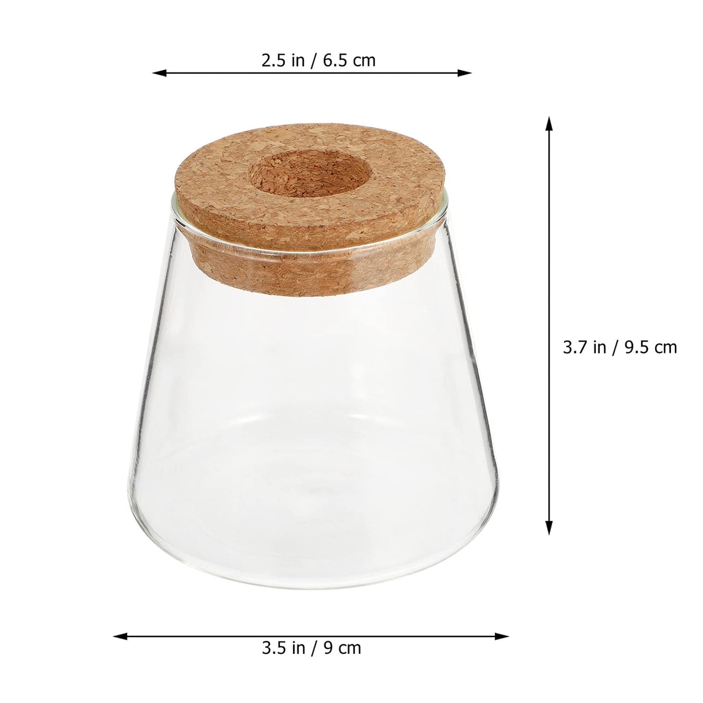 NOLITOY 2pcs Desktop Glass for Hydroponics Stylish Water Vase for Decor Glass Terrarium for Plant Propagation