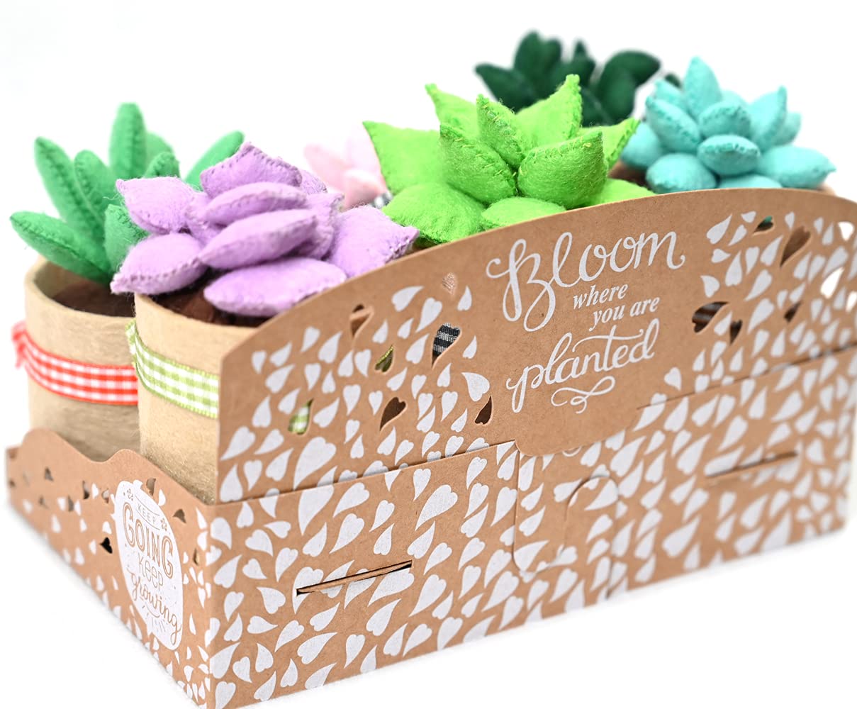 Felt Succulents Craft Kit. Make 6 Potted Colorful Plushies & A Display Rack. Mini Garden DIY Sewing Project, Activity Set, Arts & Crafts Supplies - Great Gift for Teens and Adults
