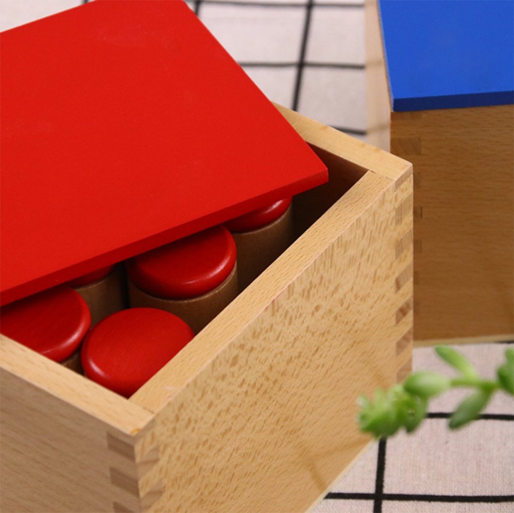 LEADER JOY Montessori Sensorial Auditory Material - Sound Cylinders Sound Boxes Kids Educational Toys for Todder