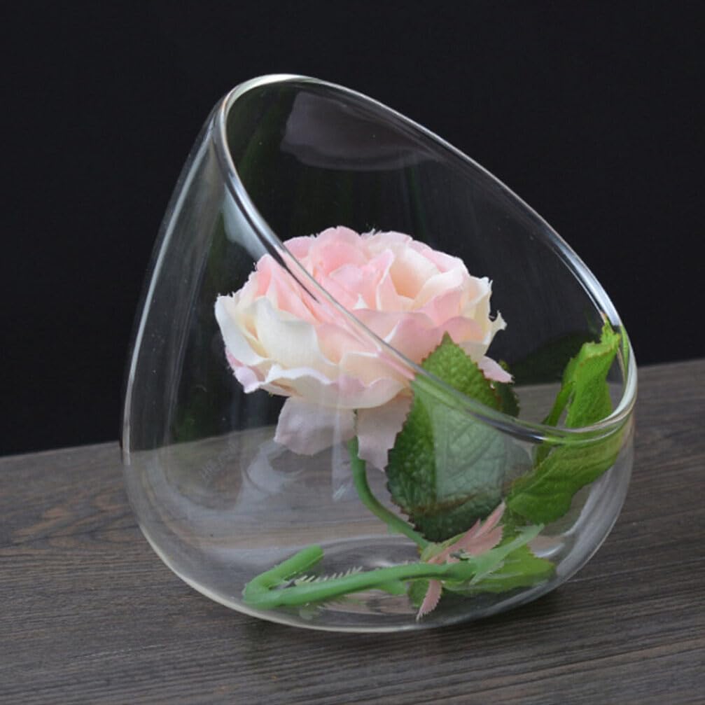 GANAZONO Garden Plant Eco Bottle Glass Terrarium Large Sturdy Succulent Pot for Indoor Plant Dec