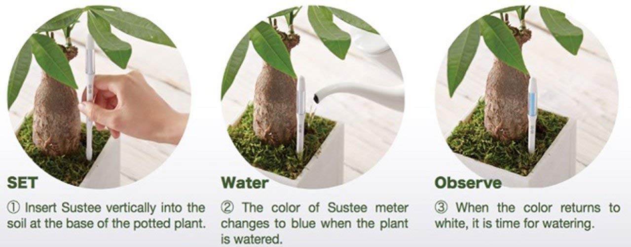 IPPINKA Sustee Aquameter Set of 4, Plant Soil Moisture Sensor, (White, Large, Refillable)