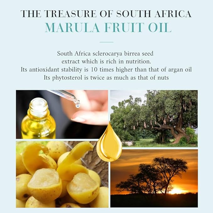 OPPEAL Marula Soul Travel Size Toiletries 5-Piece Set | 1 oz Shampoo, Conditioner, Body Wash & Body Lotion, Facial Soap | Ambergris Scent | 150 Pcs Total | Ample Bulk for Guests