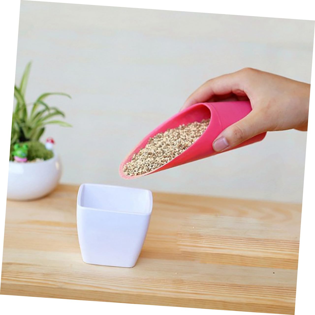 LIOOBO 5pcs Gardening Soil Shovel Multifunction Planting Shovel Bonsai Soil Scoop for Landscape Random Color
