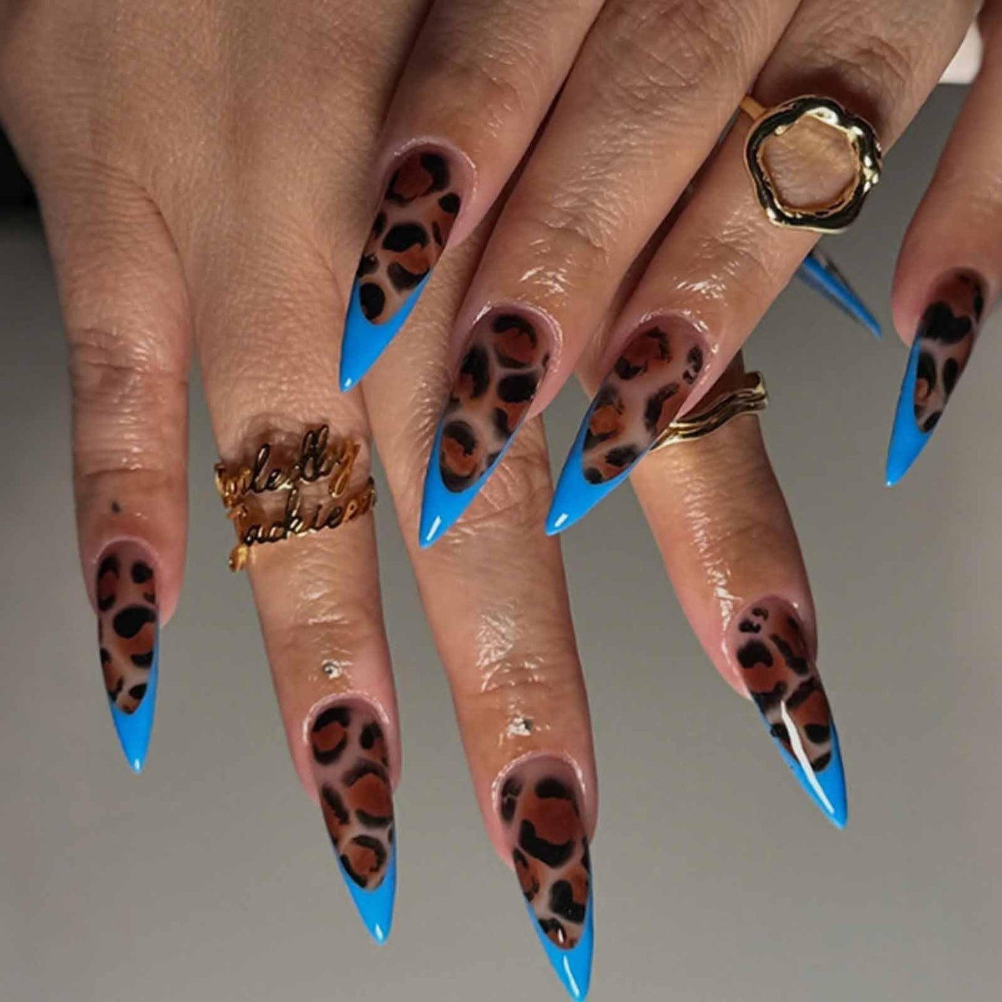 Hkanlre Long Press on Nails Stiletto Tips Full Cover French False Nails Leopard Print Fake Nails for Women 24PCS