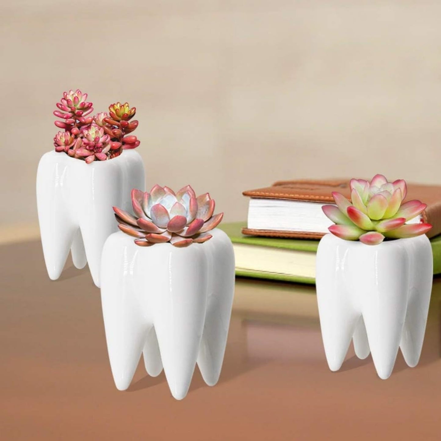 LECMACY Cute Tooth Shaped White Ceramic Planter Pots Flower Plant Containers, Mini Ceramic Succulent Planter Pots, Creative Pen Pencil Holder for Office Home Desk Decor, Plants Not Included (4 Pcs)