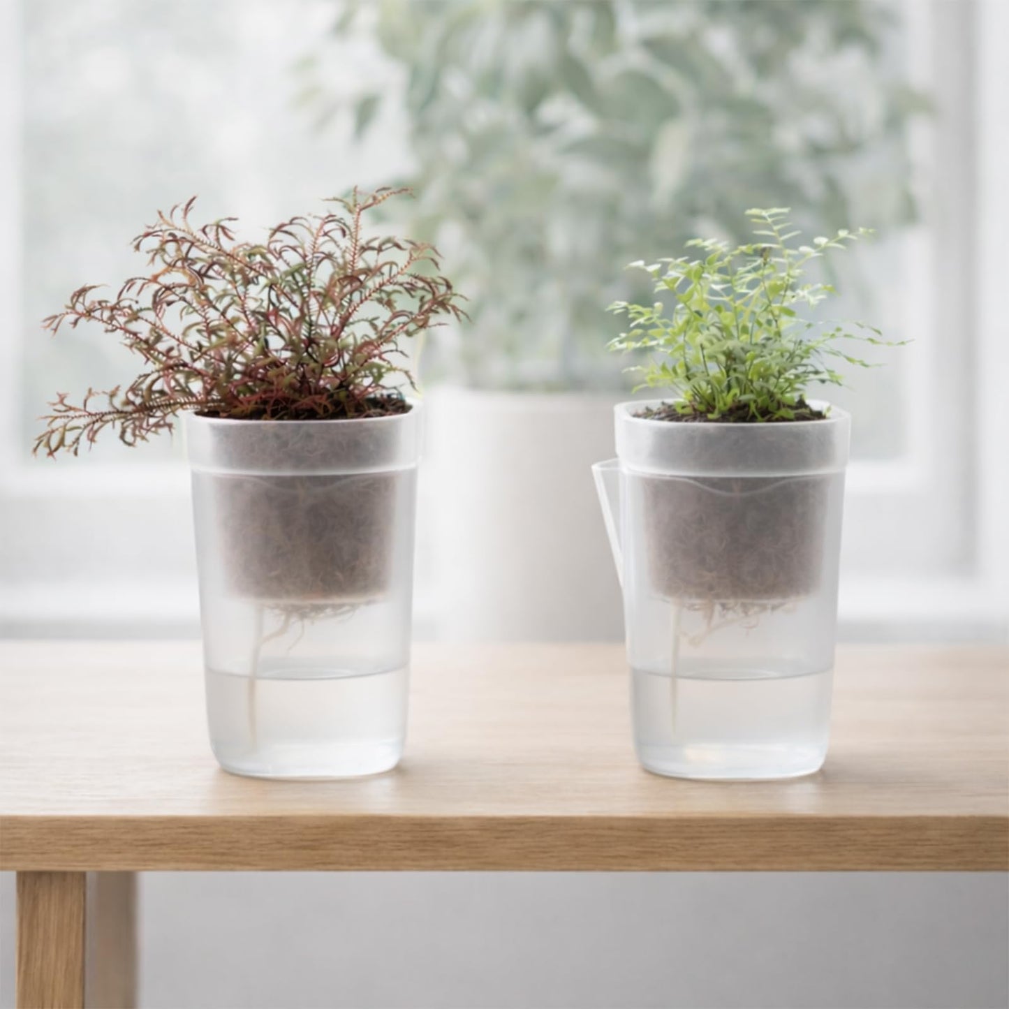 12 Pack 2.5" Small Self Watering Pots for Indoor Plants, Mini Clear Plastic Planters with Water Level & Drainage Holes, 12 Plant Labels, Semi-Hydro Propagation Pots for Succulents, African Violets