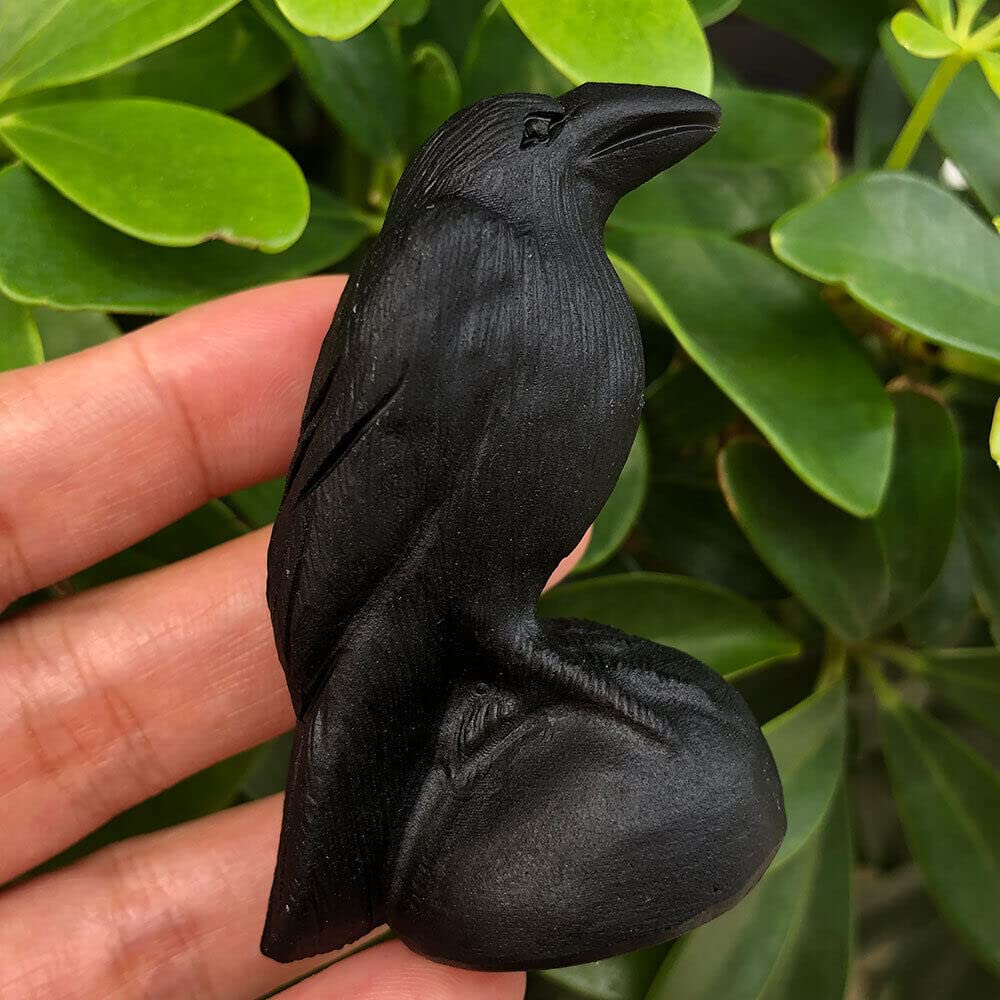 TEAMWILL 1pc Natural Black Obsidian Crow Skull Quartz Crystal Carved Skull Figurines Healing 2.76"