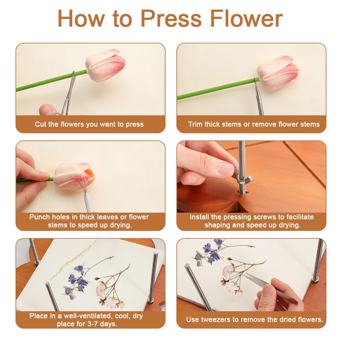 GPVHYJ Flower Press Kit for Adults 11" x 11" 6-Layer Large Wooden Plant Pressing DIY Bouquet Preservation & Dried Flower Art