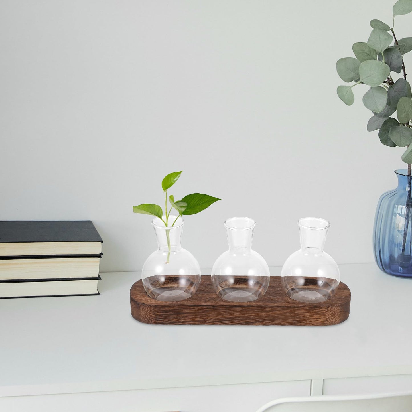 OSOLADY Decorative Glass Plant Vase Set with Wooden Base, Hydroponic Flower Planter for Office and Home Desk, 3pcs Water Cultivation Terrarium Arrangement