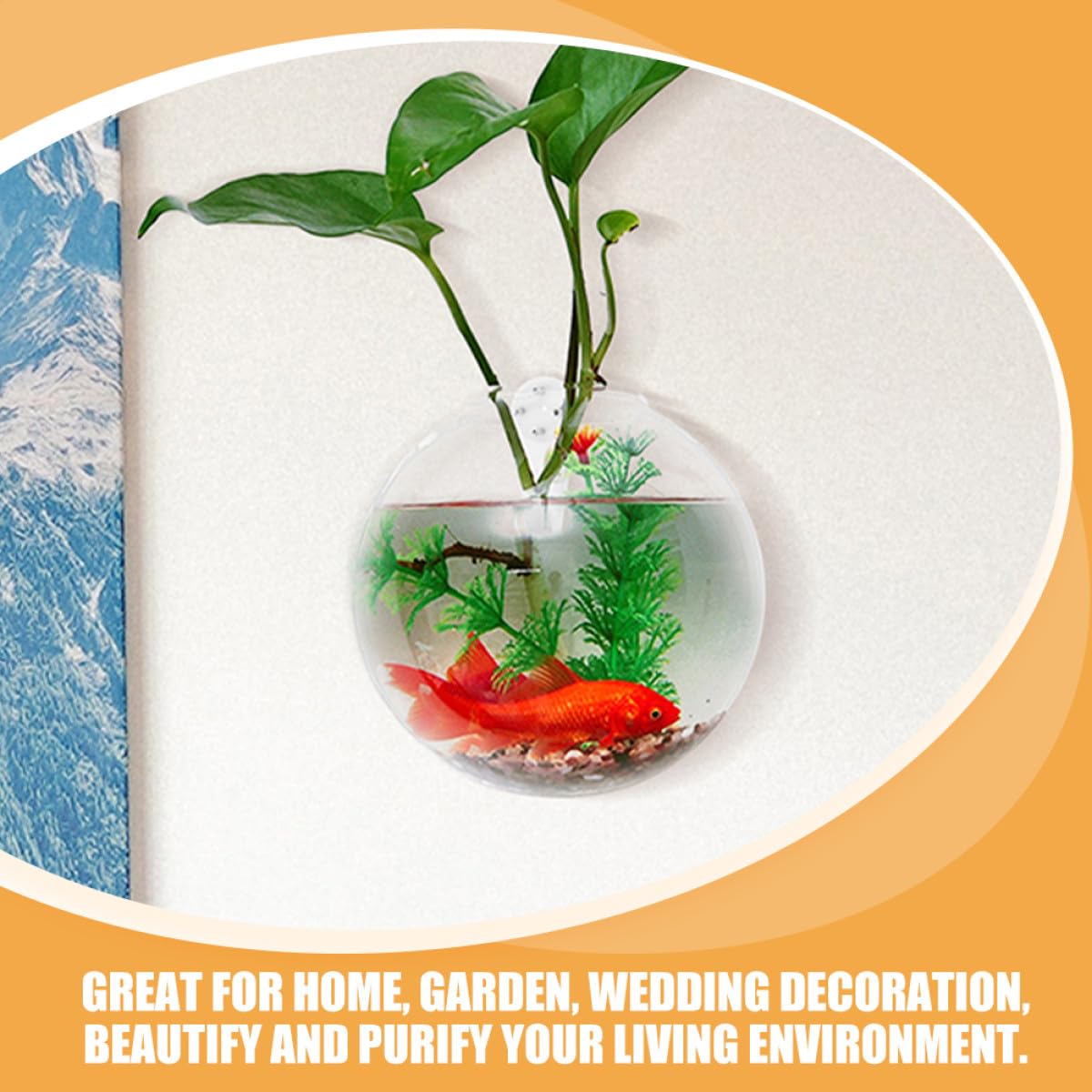 DOITOOL Hydroponic Wall Hanging Flower Vase Set 4pcs 10cm Glass Plant Terrarium Holder with Crystal Mud Nails for Indoor Home Décor and Succulent Propagation