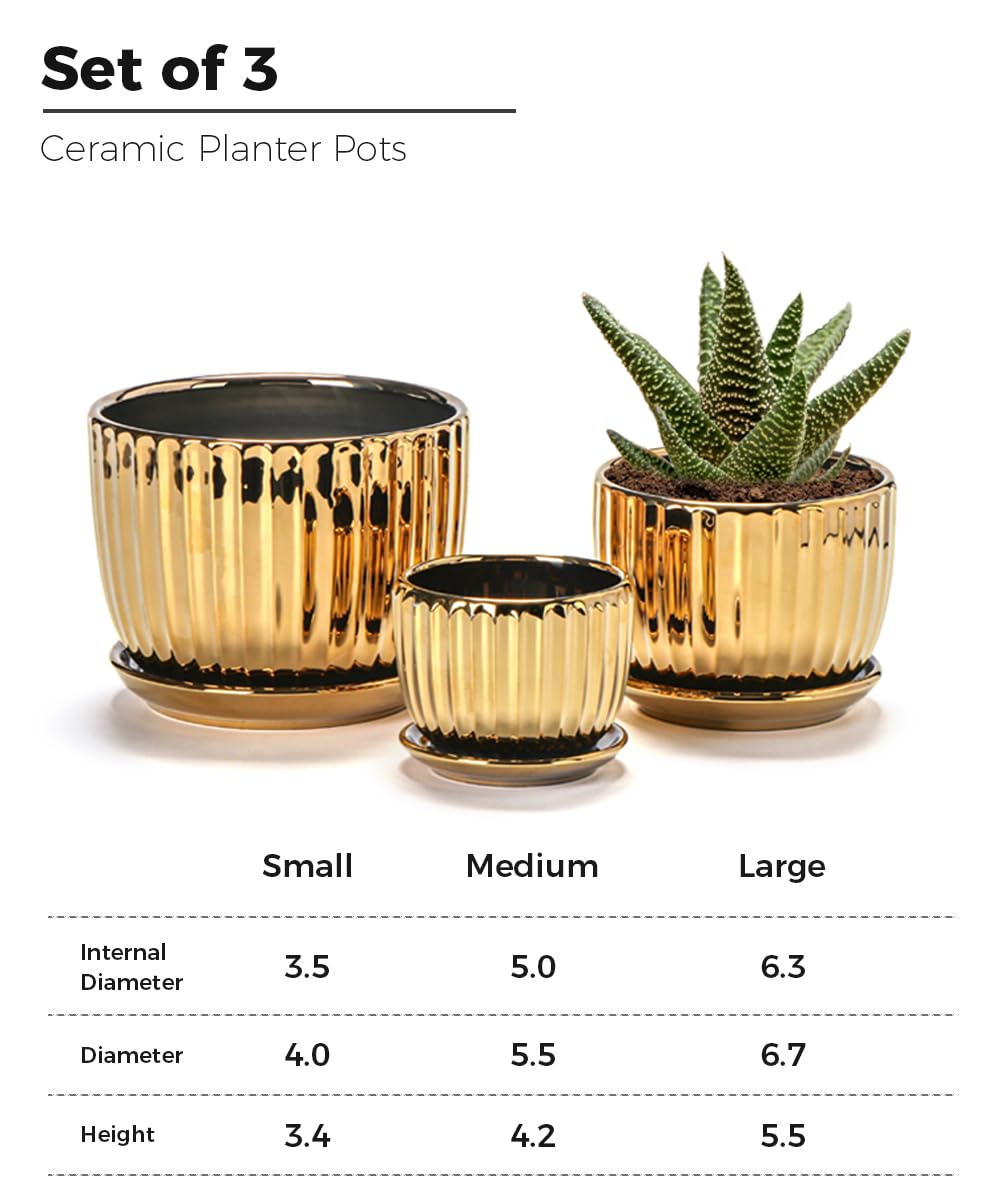 Ton Sin Gold Plant Pots,4.1+5.1+6.5 Inch Ceramic Succulent Planters Set of 3 Mini Indoor Flower Pot with Drainage,Handmade Decorative Ceramic Orchid and Herb Pots(Gold)