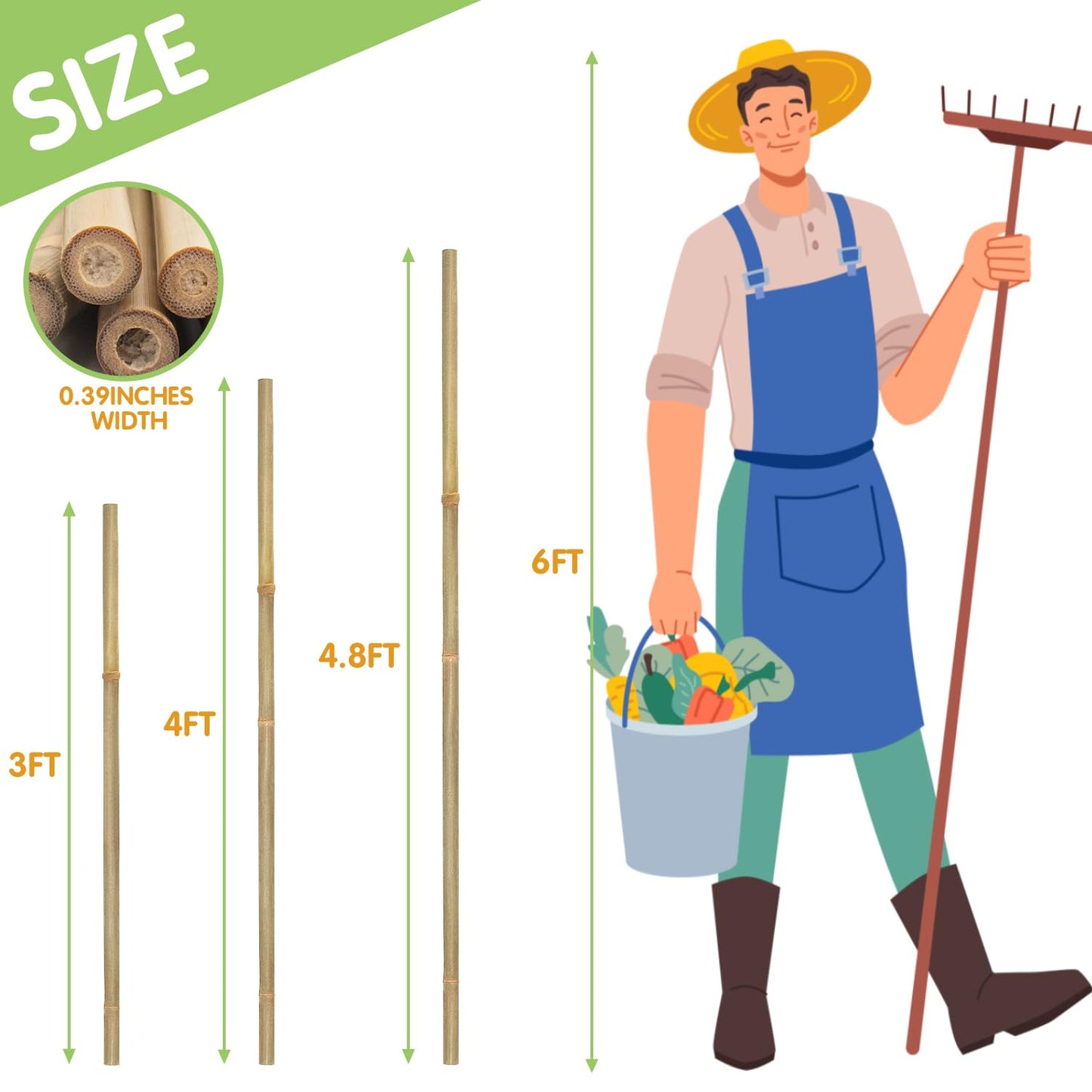 Plant Stakes,4FT Longer Sturdy Natural Bamboo Garden Stakes,GAGINANG 25Pcs Bamboo Sticks Trellis Support for Tomato, Vegetables Beans Trees Climbing Plants