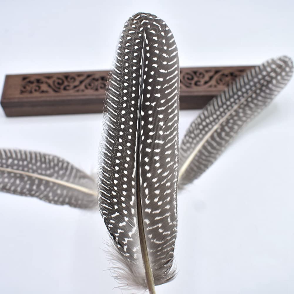 Flying Feathers Natural Pheasant Feathers 4 Style 15-20cm 12pcs Natural Feathers for DIY Craft Home Party Decorations FF03…