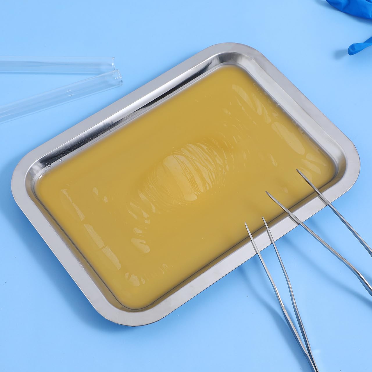 iplusmile 6 Set Dissection Pan with Wax, 10.2" x 7.5" Reusable Thicken Stainless Steels Dissection Kit for Laboratory Science Education & Medical Students Experiments