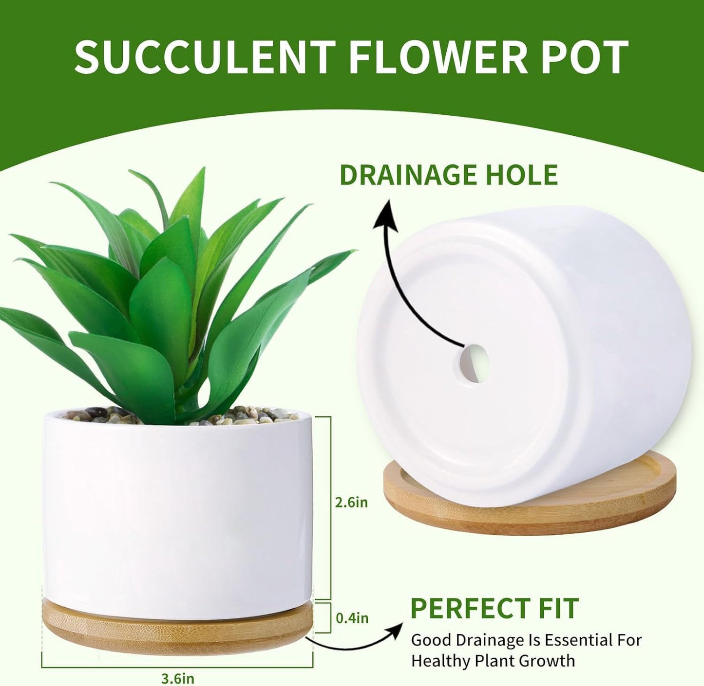 Haooxinwei Funny planters for Indoor Plants Garden Succulent Pots, with Drainage Holes and Saucer(No Plants) (Feeling Cute Might Die Later)
